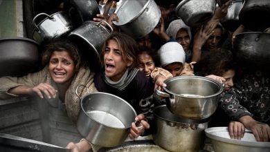 صورة غزة تباد… 22 قتيلا بينهم 3 برصاص إسرائيلي أثناء توجههم للمساعدات