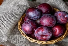 صورة احرص عليه.. البرقوق كنز غذائي  و له 5 فوائد مذهلة