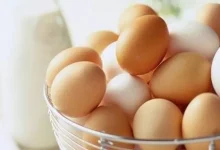 صورة يهدد القلب.. مخاطر الإفراط في تناول البيض