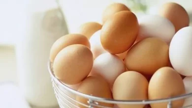 صورة يهدد القلب.. مخاطر الإفراط في تناول البيض