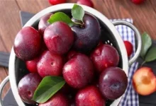صورة هذا ما يحدث للكبد والكلى عند تناول كوب من عصير البرقوق