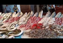 صورة أسعار السمك في سوق العبور اليوم الجمعة 23-5-2025