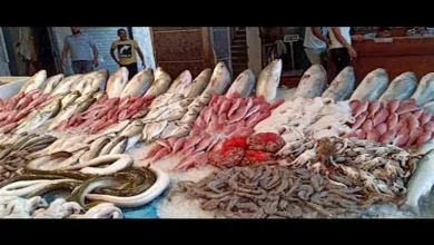 صورة أسعار السمك في سوق العبور اليوم الجمعة 23-5-2025