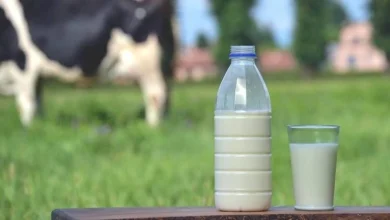 صورة 5 فوائد مذهلة لتناول كوب من الحليب ليلا