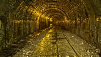 صورة بزيادة 11%.. ارتفاع إنتاج الذهب في منجم السكري إلى 117 ألف أونصة في 3 أشهر