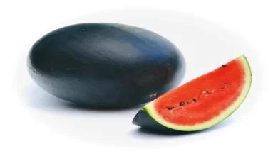 صورة هذا ما يحدث لكليتك عند تناول البطيخ.. مفاجأة لن تتوقعها