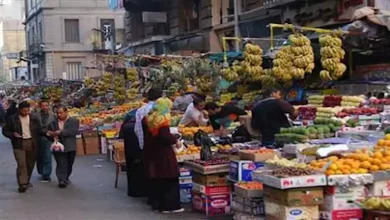 صورة الإحصاء: ارتفاع أسعار الفاكهة بنسبة 62% خلال عام