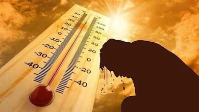 صورة ما السبب وراء الشعور بالضعف ونقص الطاقة في فصل الصيف؟