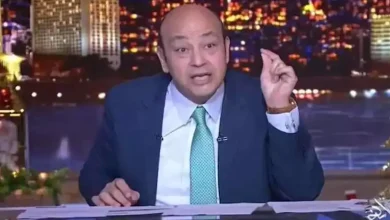 صورة “عايشه معاه في البيت”..عمرو أديب يكشف مفاجأة عن  أزمة بوسي شلبي وورثة محمود عبد العزيز