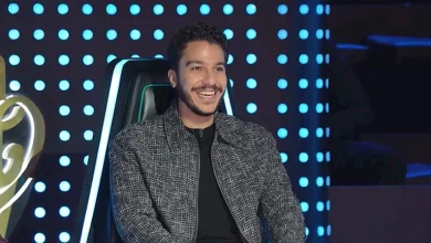 صورة محامي محصل الكهرباء:”نور النبوي صدمه واختفى ومدفعش ولا جنيه”