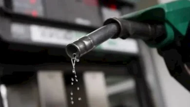 صورة البنزين المغشوش.. 3 أسئلة لم تجب عنها الحكومة