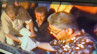 صورة بوسي شلبي تنشر فيديو عقد قرانها على الفنان محمود عبد العزيز