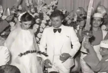 صورة جمالها ساحر.. شاهد لقطات من حفل زفاف محمود عبدالعزيز وجيجي زويد