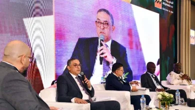 صورة حسام هيبة: الحكومة تعد استراتيجيات مستدامة للتكامل الاستثماري والتجاري مع الدول الأفريقية