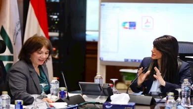 صورة 1.3 مليار دولار.. “المشاط” تستكمل المباحثات مع بعثة صندوق النقد بشأن الإجراءات الإصلاحية لقرض الاستدامة