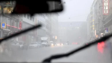 صورة سائل غسل الزجاج.. عنصر مهم لسلامة القيادة
