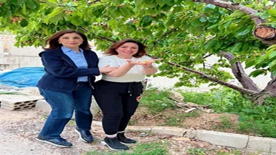 صورة إلهام شاهين تكشف عن مغامرة طريفة برفقة ماجدة الرومي وكلوديا مرشليان