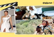 صورة نادين نجيم جريئة وشيرين رضا بصحبة قططها.. لقطات نجوم الفن خلال 24 ساعة