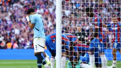 صورة مرموش يتصدر الأكثر بيعا في فانتازي الدوري الإنجليزي