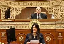 صورة المشاط: نتوقع طفرة بالاستثمارات الخاصة لتصبح 63% من الإجمالي العام المقبل