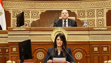 صورة المشاط: نتوقع طفرة بالاستثمارات الخاصة لتصبح 63% من الإجمالي العام المقبل