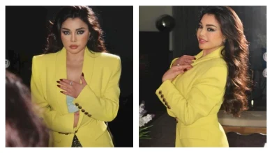 صورة خاص| حقيقة طلب هيفاء وهبي عزل نقيب الموسيقيين مصطفى كامل بدعوى قضائية