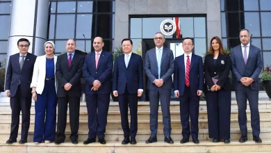 صورة شركة سيارات صينية تستهدف ضخ 300 مليون دولار لإنشاء مصنع بمصر