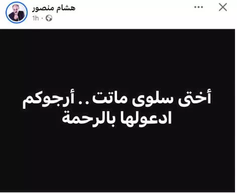 هشام منصور