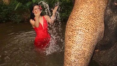صورة بعد أزمتها مع زوجة مسلم.. 25 صورة لـ أروى قاسم