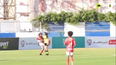 صورة خبير تحكيم لمصراوي: “وادي دجلة استحق ركلة جزاء أمام الأهلي”