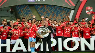 صورة كيف احتفل نجوم الفن بحصد الأهلي بطولة الدوري الـ 45 ؟