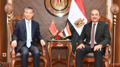 صورة وزير قطاع الاعمال: نحرص على تعزيز التعاون مع الجانب الصيني