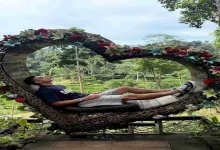 صورة “سيلفي مع قرد”.. 15 صورة ترصد إجازة مصطفى محمد في بالي