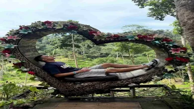 صورة “سيلفي مع قرد”.. 15 صورة ترصد إجازة مصطفى محمد في بالي