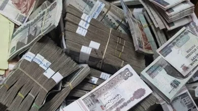 صورة موعد صرف الدعم النقدي “تكافل وكرامة” عن شهر مايو بالزيادة الجديدة