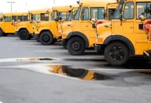 صورة سبب طلاء أتوبيسات المدارس باللون الأصفر.. اعرف السر