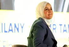 صورة رئيسة مصلحة الضرائب: لا ضرائب بأثر رجعي للمشروعات الصغيرة
