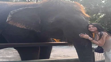 صورة مع “فيل”.. أسماء جلال تنشر صورا من رحلة ترفيهية وعمرو وهبة يعلق