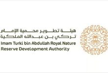 صورة محمية الإمام تركي بن عبدالله تطلق النسخة الثانية من الرعي الموسمي  أخبار السعودية