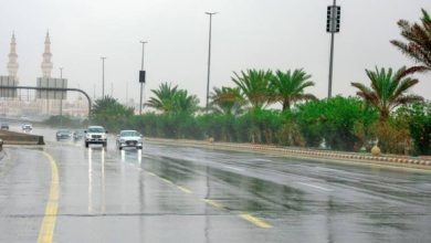 صورة «الأرصاد»: أمطار ورياح نشطة على منطقة نجران  أخبار السعودية
