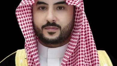 صورة بتوجيه من القيادة.. وزير الدفاع يلتقي رئيس دولة الإمارات العربية المتحدة  أخبار السعودية