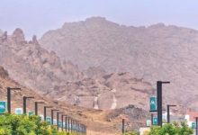 صورة حدائق بين الجبال.. حين تتحوّل الجغرافيا إلى لغة تتكلّمها حائل  أخبار السعودية