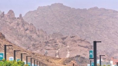 صورة حدائق بين الجبال.. حين تتحوّل الجغرافيا إلى لغة تتكلّمها حائل  أخبار السعودية