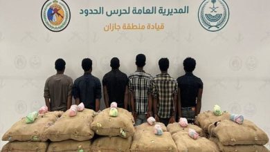 صورة القبض على (6) مخالفين لنظام أمن الحدود بجازان لتهريبهم (400) كيلوجرام من نبات القات المخدر  أخبار السعودية
