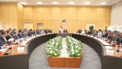 صورة رخص لإنتاج البليت.. خطة مصرية لخفض أسعار الحديد ودعم البناء  أخبار السعودية
