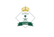 صورة «الجوازات»: 890 ألف حاج وصلوا عبر المنافذ الدولية  أخبار السعودية