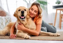 صورة كيف تحمي «حيوانك الأليف» من السكتات الدماغية؟ نصائح بيطرية تكشف العلامات  أخبار السعودية