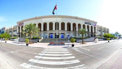 صورة عصابة تنتحل صفة رجال أمن وتسرق 600 ألف درهم من آسيوي  أخبار السعودية