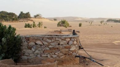 صورة «عكاظ» تنشر مسودة ضوابط إصدار رخص حفر الآبار الجديدة  أخبار السعودية