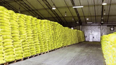 صورة بعد إطلاق أولاها… تفاصيل المنصات الجهوية الـ 12 لمواجهة الكوارث التي ستضم 36 مستودعا على مساحة 240 هكتارا